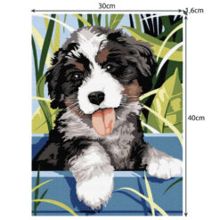 Numbrite järgi maalimise komplekt 40x30cm Soodukas.Com