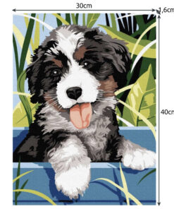 numbrite jargi varvimise komplekt 2