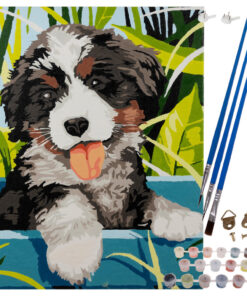 Numbrite järgi maalimise komplekt 40x30cm