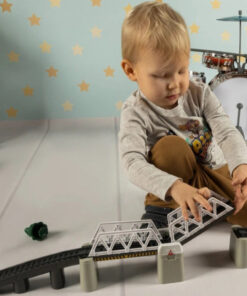 suur raudtee elektrirongiga 5