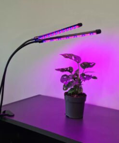 Alternative view of Taimelamp