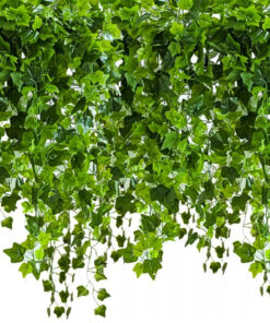 Dekoratiivsed luuderohu väädid