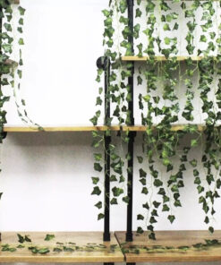 Dekoratiivsed luuderohu väädid