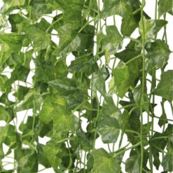 Dekoratiivsed luuderohu väädid – Soodukas.Com Dekoratiivsed luuderohu väädid