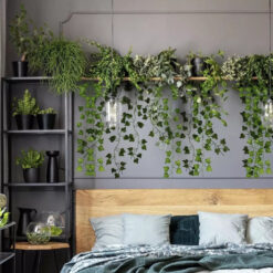 Dekoratiivsed luuderohu väädid – Soodukas.Com Dekoratiivsed luuderohu väädid