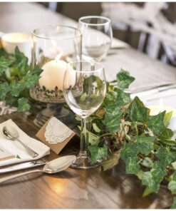 Dekoratiivsed luuderohu väädid