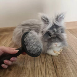 Lemmiklooma hari / isepuhastuv karvahari Soodukas.Com