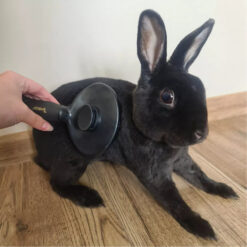 Lemmiklooma hari / isepuhastuv karvahari Soodukas.Com