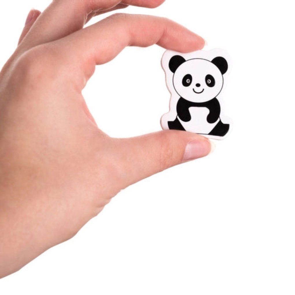 Magnetite komplekt 12tk - Image 4