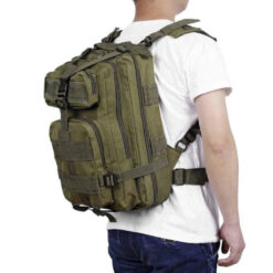 Alternative view of Seljakott