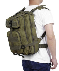 Alternative view of Seljakott