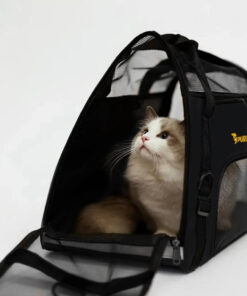 transpordikott kassile koerale 1