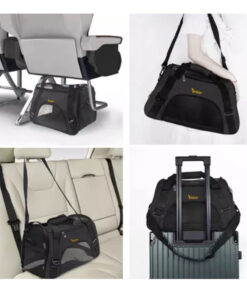 transpordikott kassile koerale 10