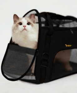 Alternative view of Transpordikott kassile või koerale