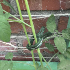 Klambrid taimede toestamiseks 108tk Soodukas.Com