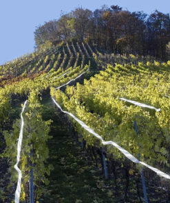 lindude peletamise lint 4