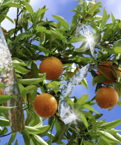 lindude peletamise lint 5