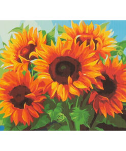 numbrite jargi maalimise komplekt paevalilledega 2