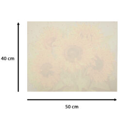 Numbrite järgi maalimise komplekt 50x40cm Soodukas.Com