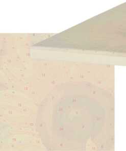 numbrite jargi maalimise komplekt paevalilledega 5