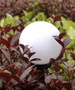 paikesepatareiga aiavalgustid a5