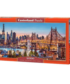 pusle 4000 1