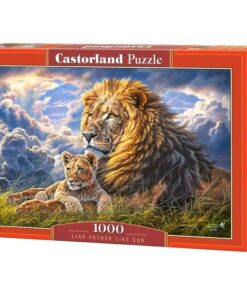 Alternative view of Pusle 1000tk