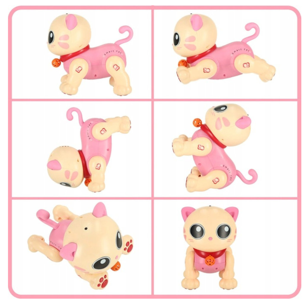 Interaktiivne kass - Image 3