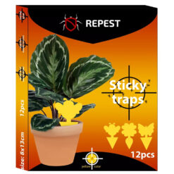 Putukate liimpüünised 12tk – Soodukas.Com Putukate liimpüünised 12tk Soodukas.Com