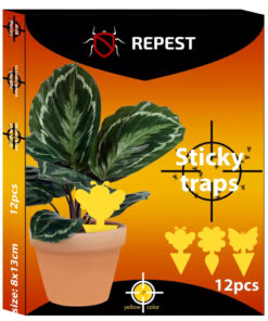 putukate liimpuunised 1