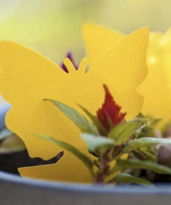 putukate liimpuunised 2