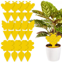 putukate liimpüünised