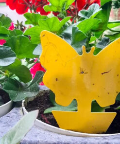 putukate liimpuunised 6