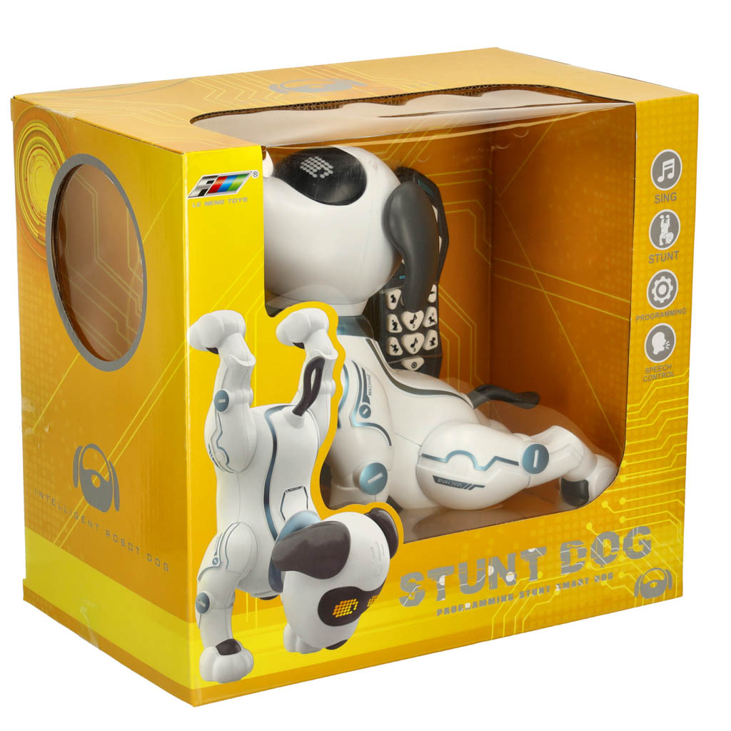 Interaktiivne robotkoer - Image 3