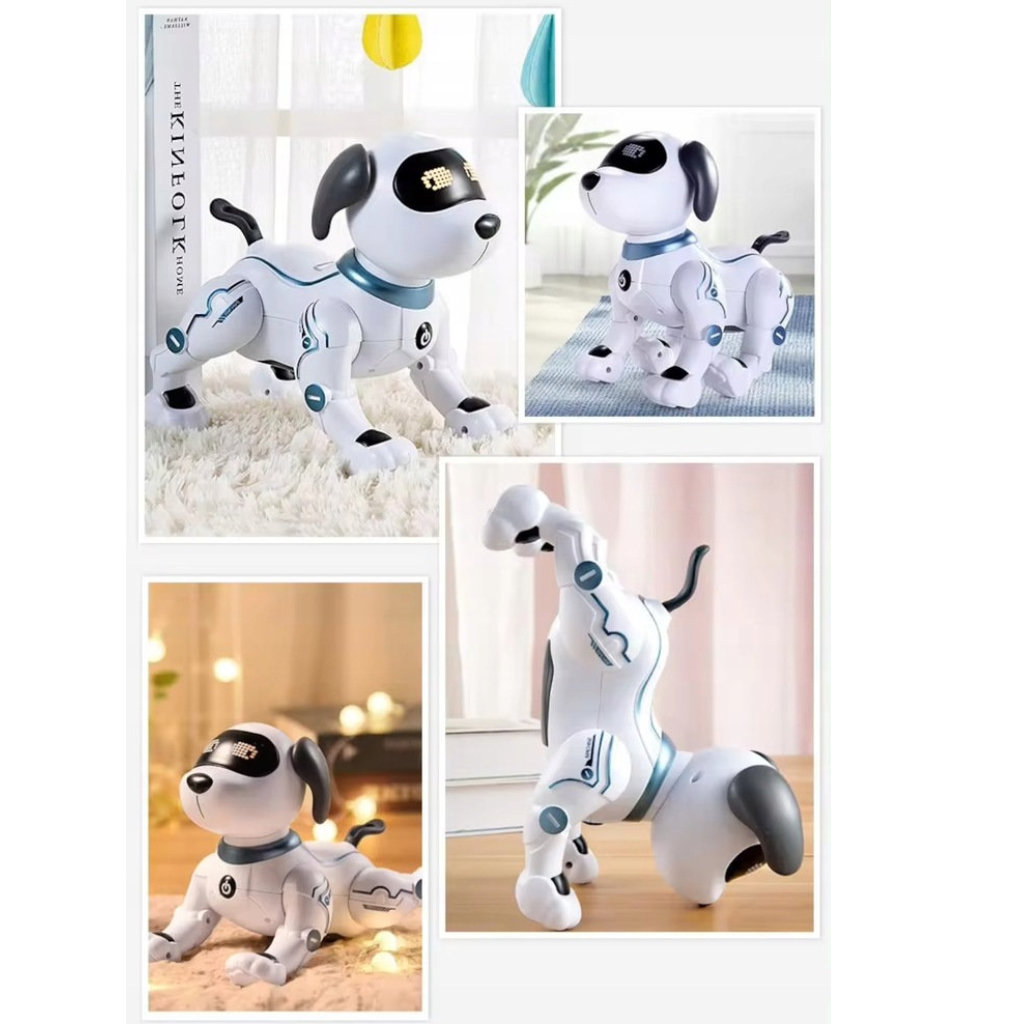 Interaktiivne robotkoer - Image 10