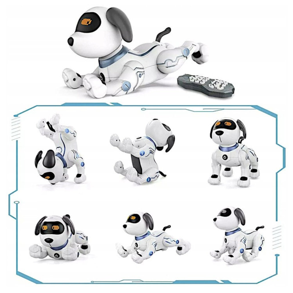 Interaktiivne robotkoer - Image 8