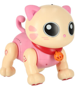 Interaktiivne kass 1