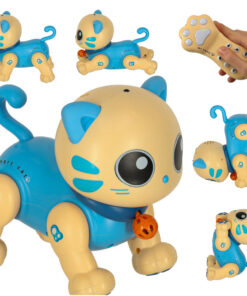 Interaktiivne kass 4