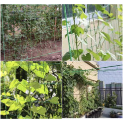 Tugivõrk ronitaimedele 2 x 20m – Soodukas.Com Tugivõrk ronitaimedele 2 x 20m Soodukas.Com