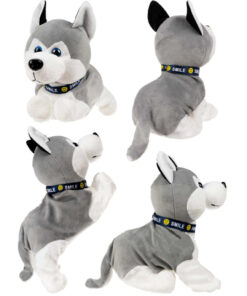 Alternative view of Interaktiivne mängukoer