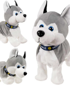 Interaktiivne mängukoer