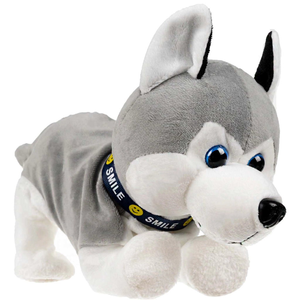 Interaktiivne mängukoer - Image 4