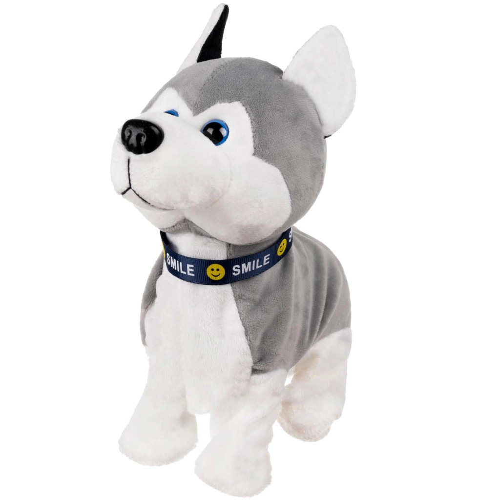 Interaktiivne mängukoer - Image 3