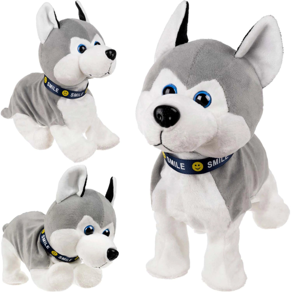 Interaktiivne mängukoer