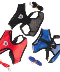 Traksid + jalutusrihm koertele