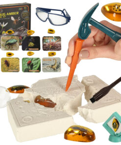 Alternative view of Väljakaevamiskomplekt - putukad merevaigus