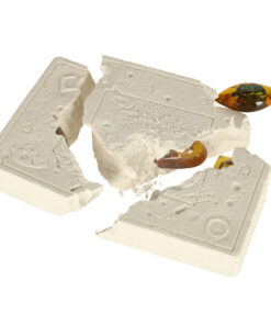 0310202466fef0e4b6358