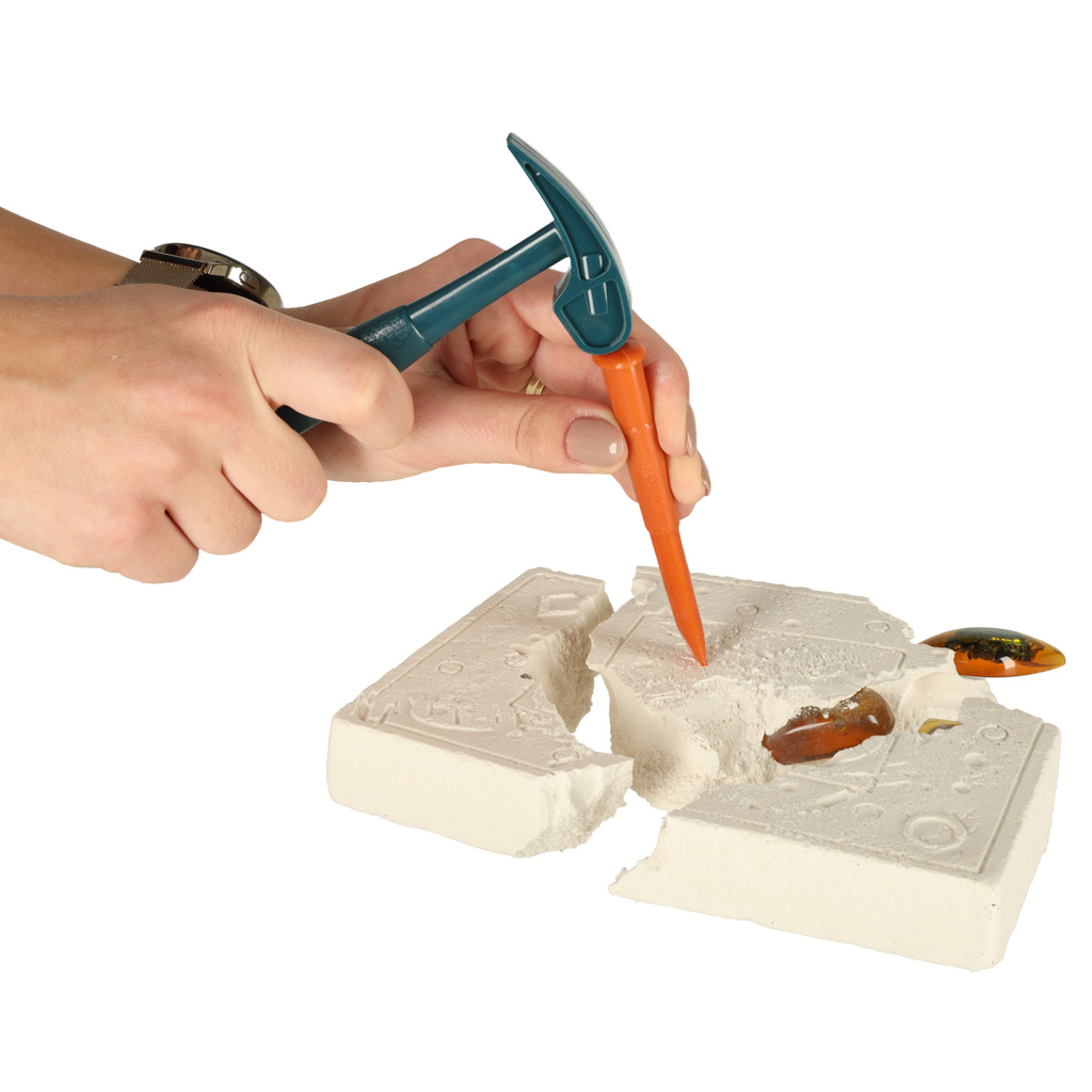 Väljakaevamiskomplekt - putukad merevaigus - Image 8