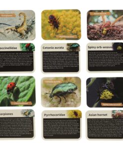 0310202466fef0e63608d