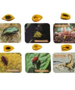 0310202466fef0e70e52e